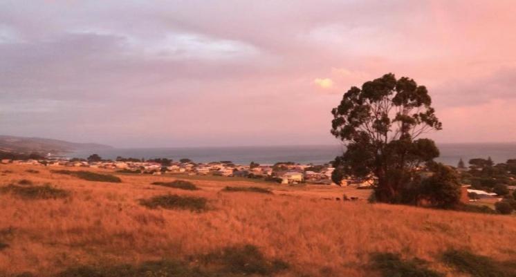 Apollo Panorama Guesthouse Apollo Bay Kültér fotó